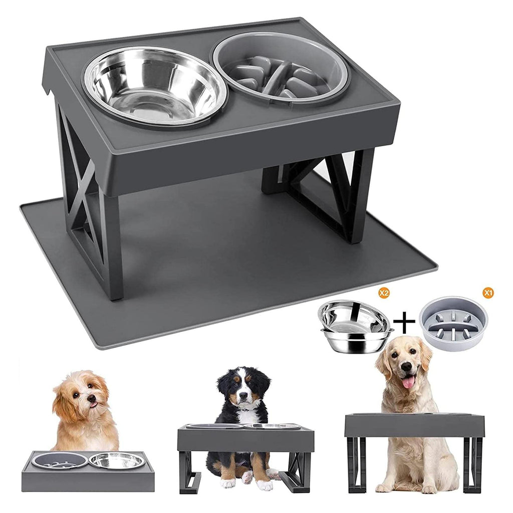 Elevated Dog Bowl Stand with Slow Feeder