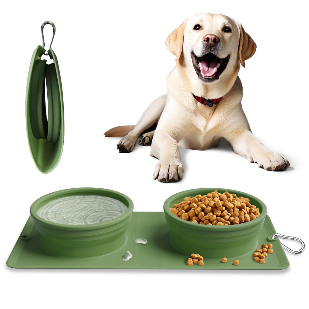 Collapsible 2-in-1 Pet Travel Bowl